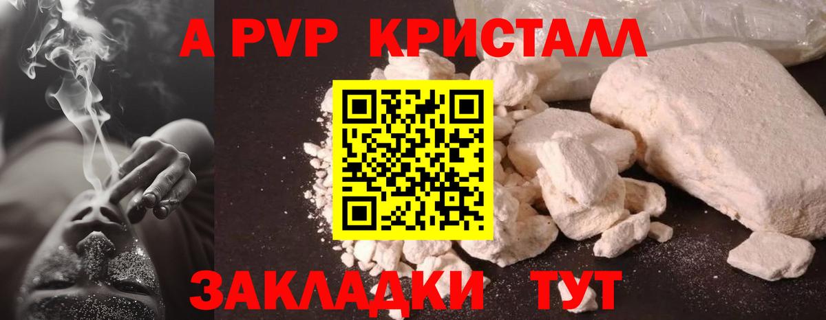 APVP СК Новосибирск