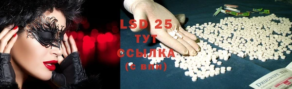 винт Сатка