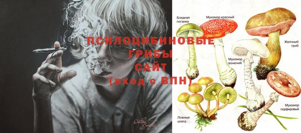 ПСИЛОЦИБИНОВЫЕ ГРИБЫ Сафоново