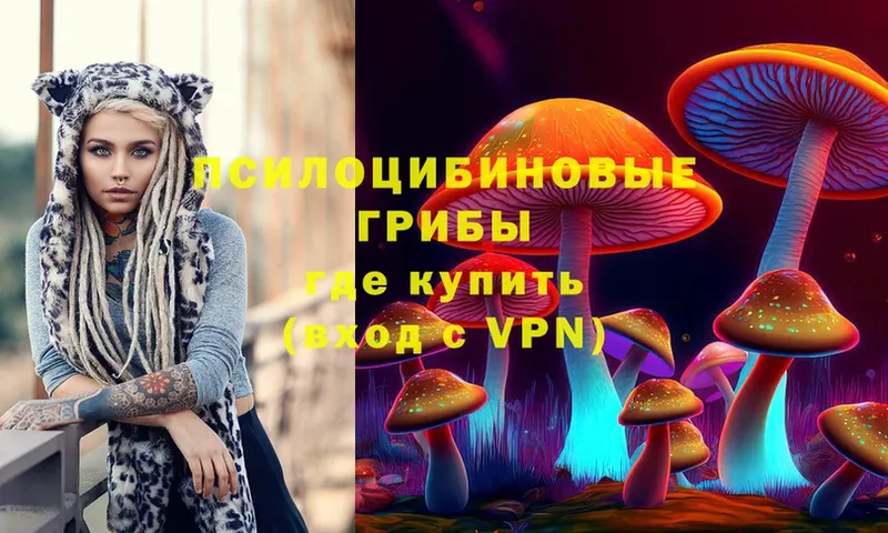 хочу   Новосибирск  Галлюциногенные грибы MAGIC MUSHROOMS 