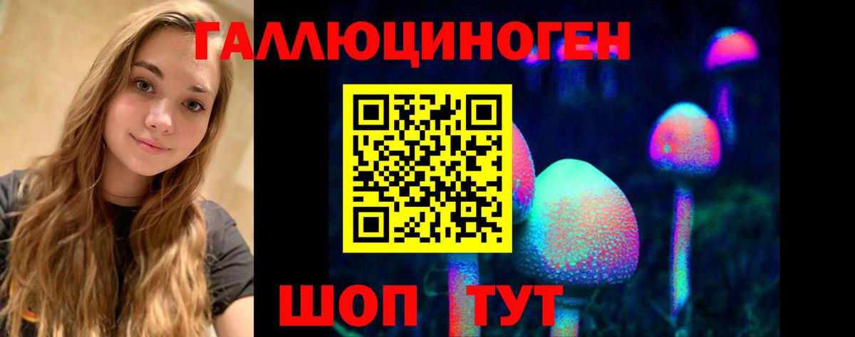 Псилоцибиновые грибы Psilocybe  Галлюциногенные грибы Cubensis  Новосибирск  Вход с VPN 