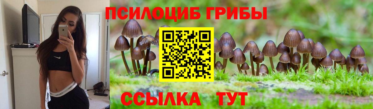 Галлюциногенные грибы мухоморы Новосибирск